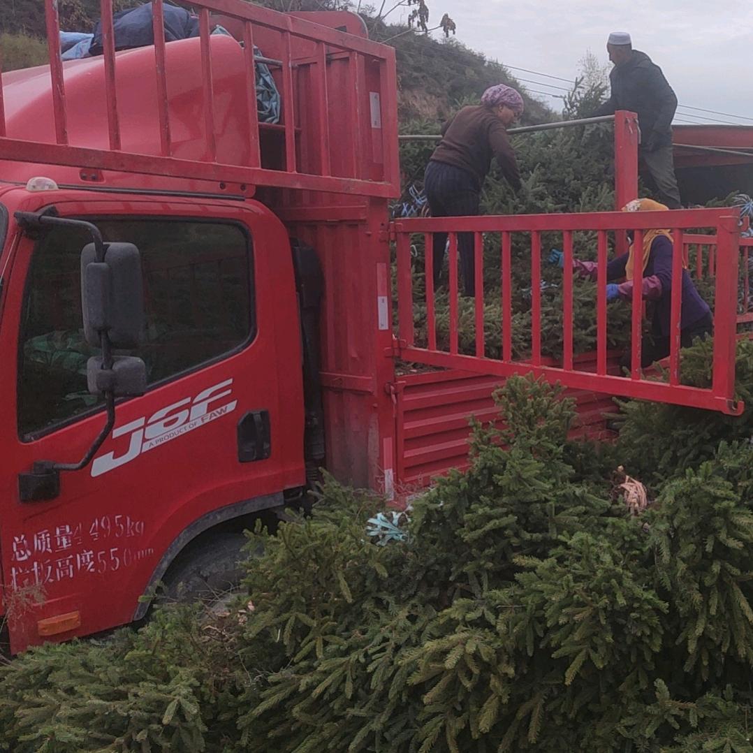 海哥好物分享,       聊聊货运。