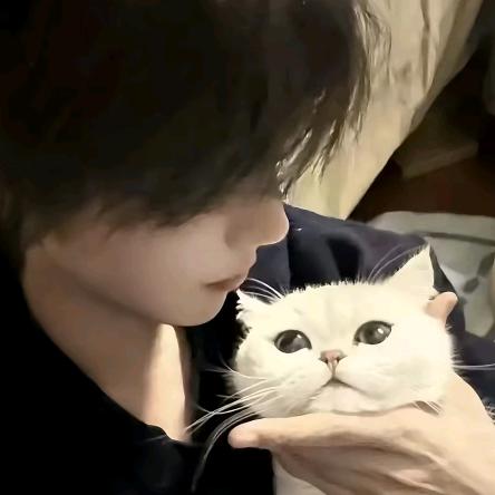 糕冷李小龙