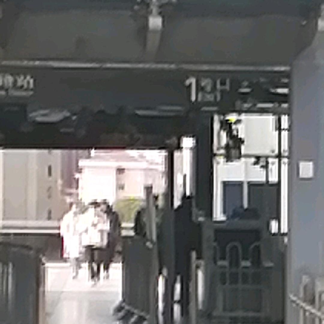 上海市浦东市区