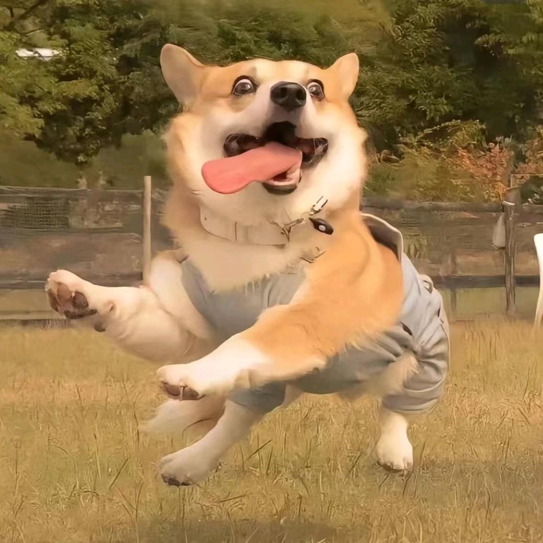 快乐一姐