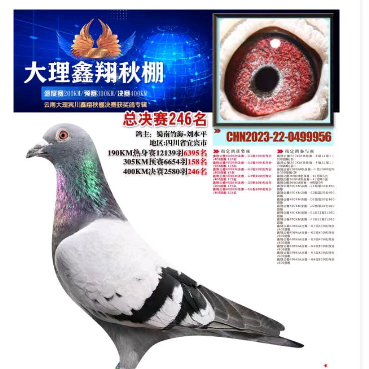 刘平