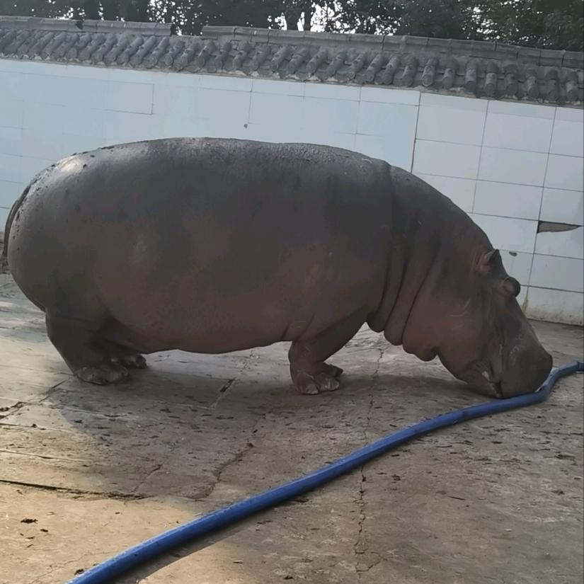 慕扬禽业