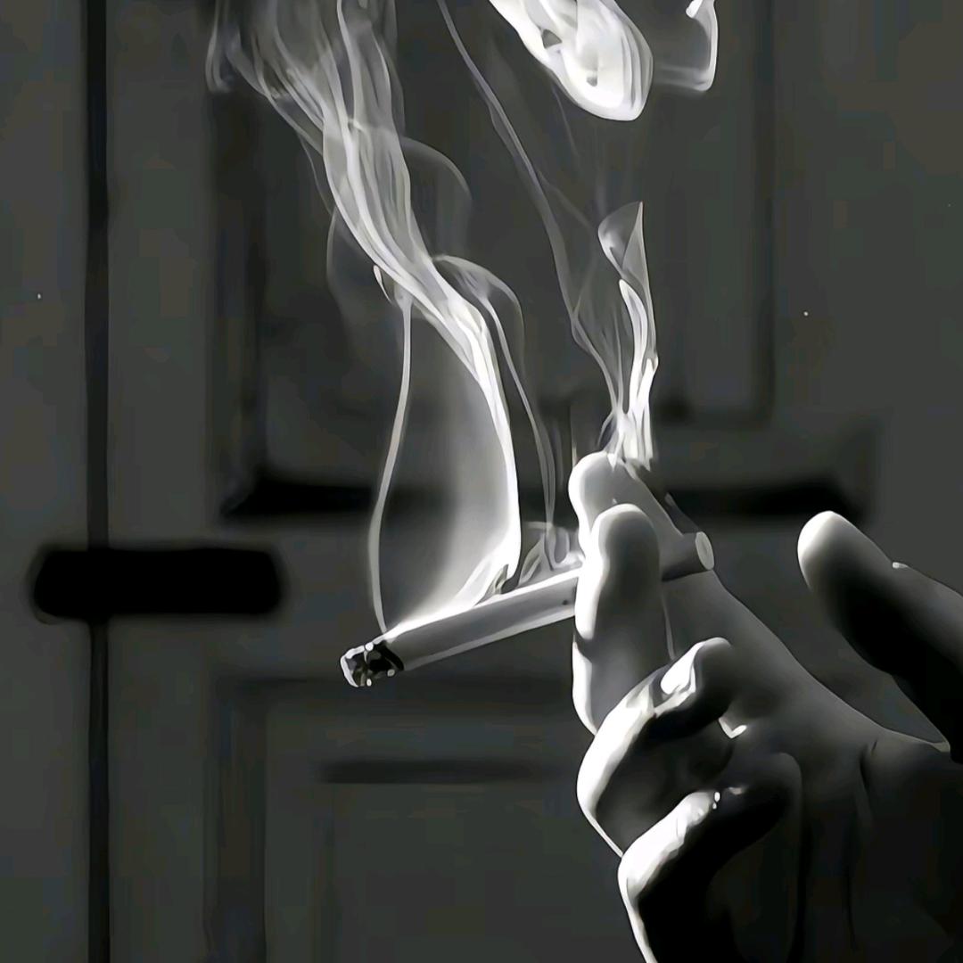 不服就干