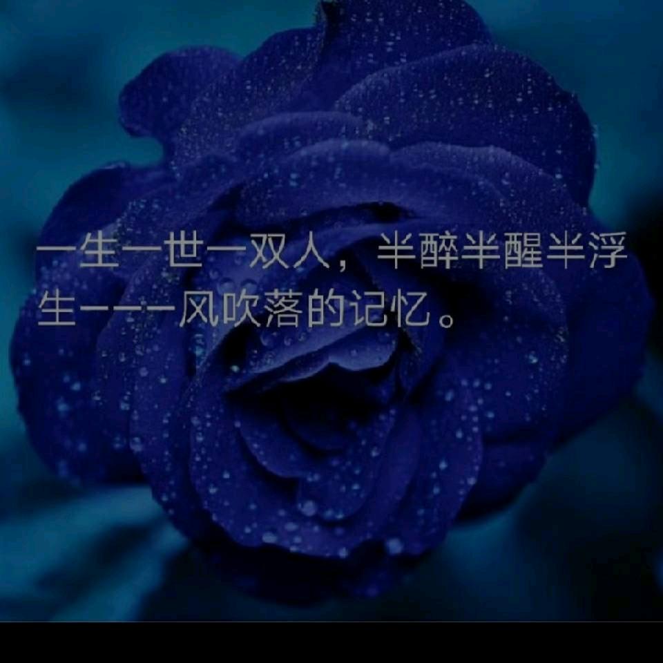 风吹落的记忆