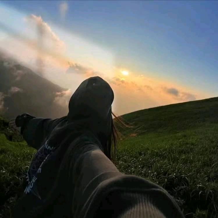 马先生的小娇妻😘