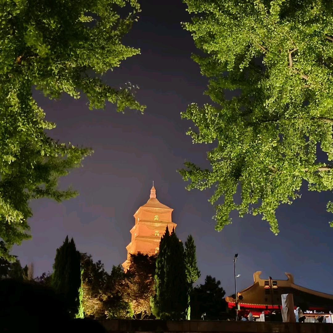 ꧁༺๑天涯旧梦๑༻꧂