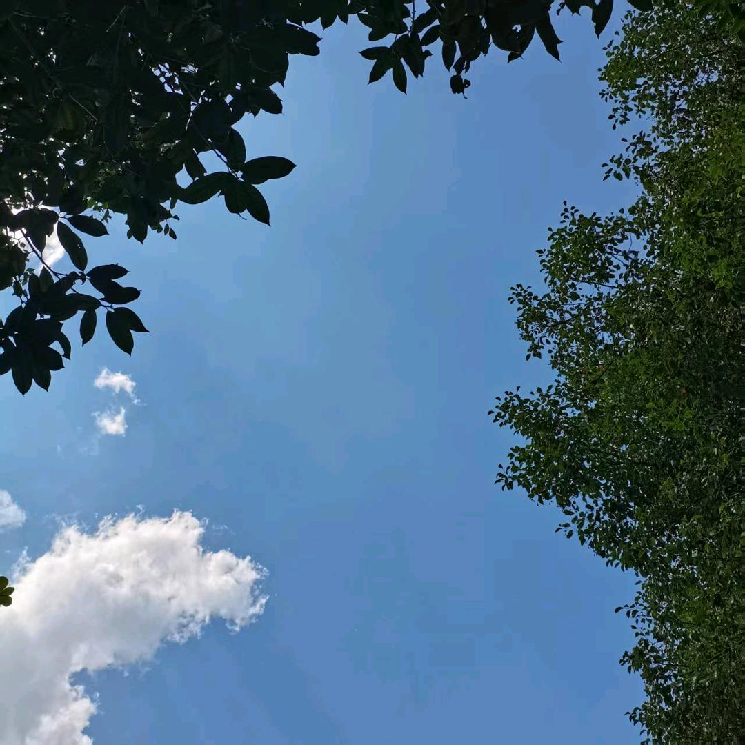 乐乐妈妈(21:40开播）