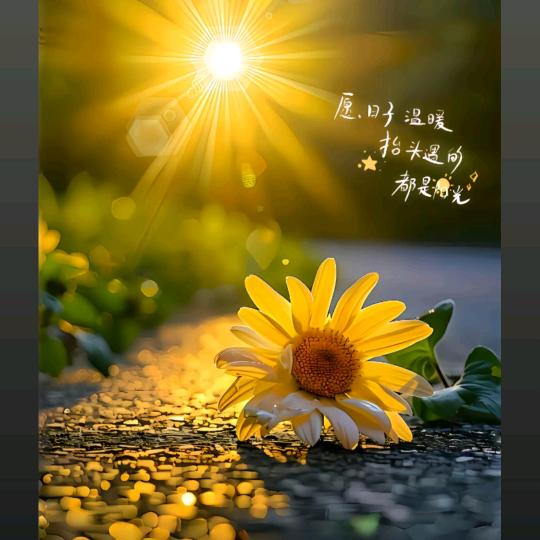 @晴天暖暖