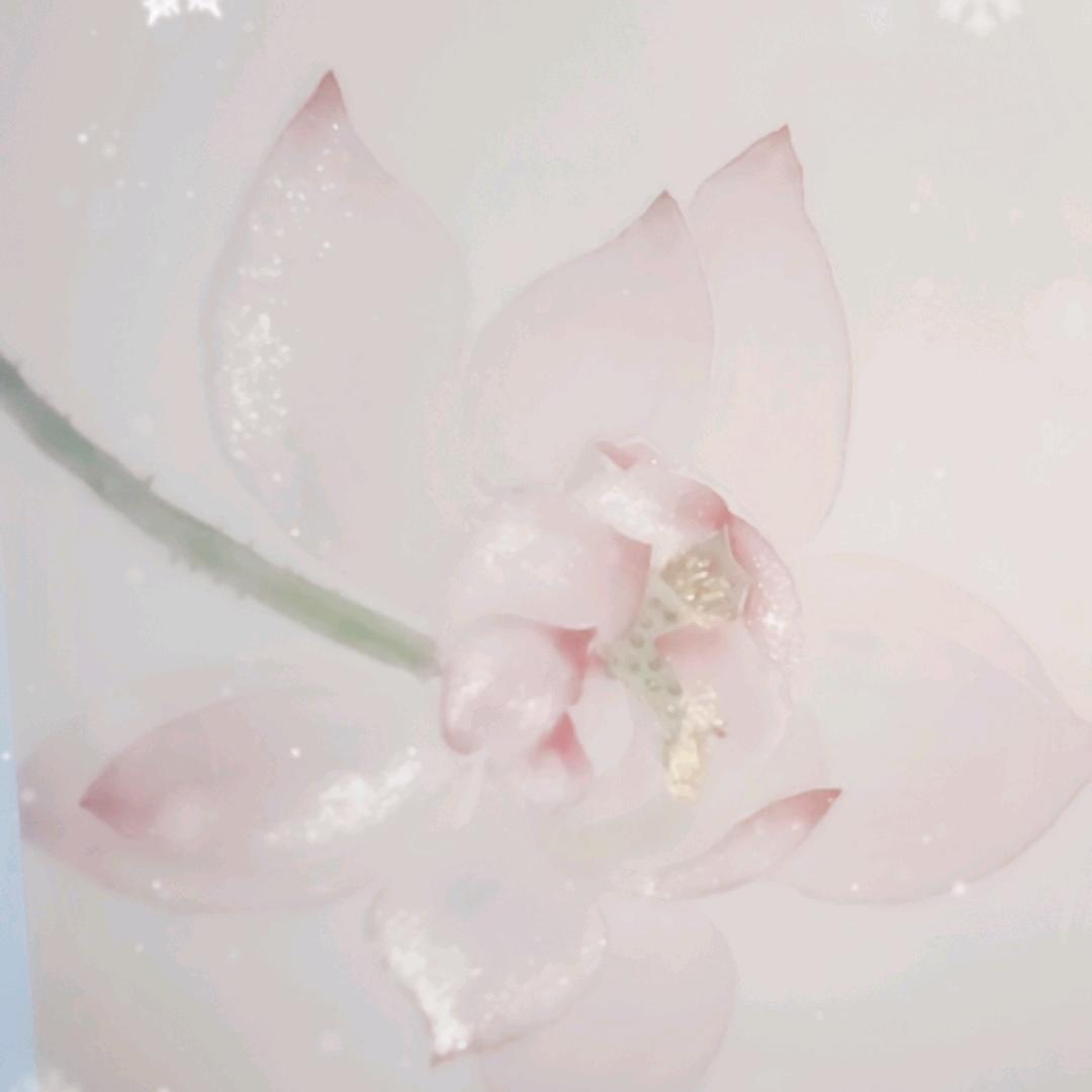 度尽菩提