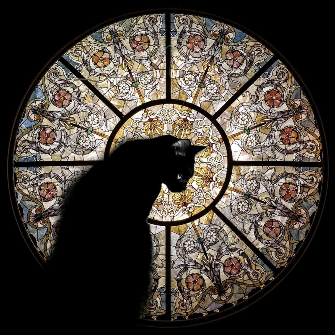 爱喝果汁的Mr金