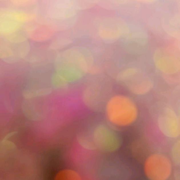 月河🏊🚴🏽‍♀️🏃