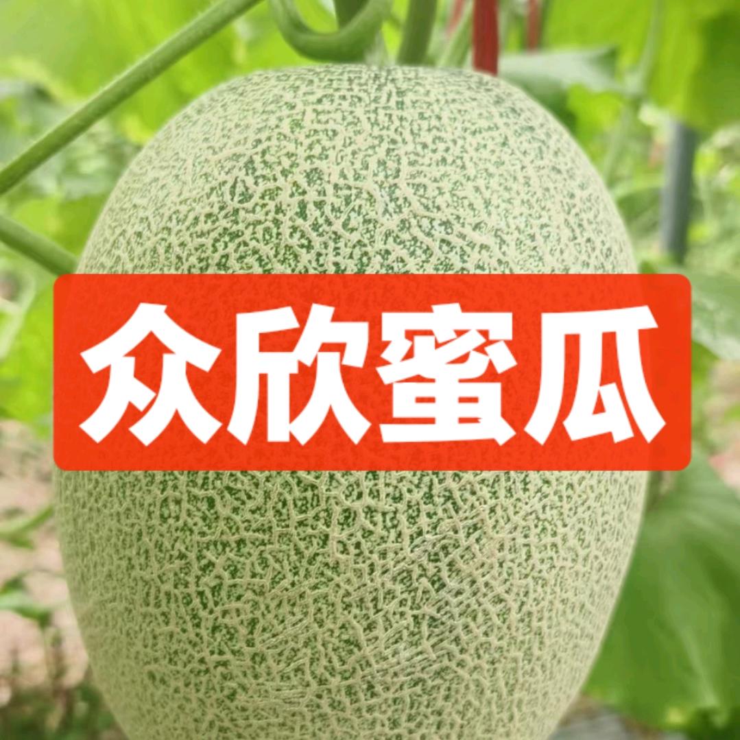 赖志刚。海南乐东众欣农业有限公司