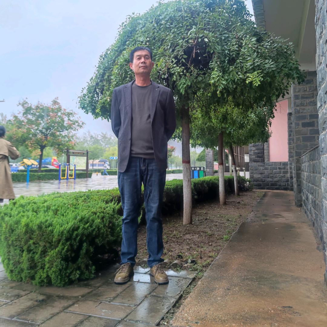 沙漠骆驼