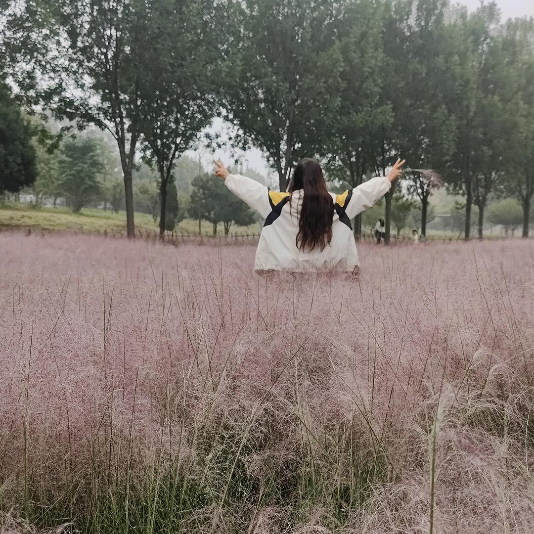 我的世界你不懂