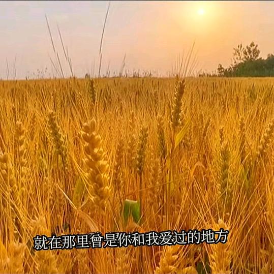 快乐永伴