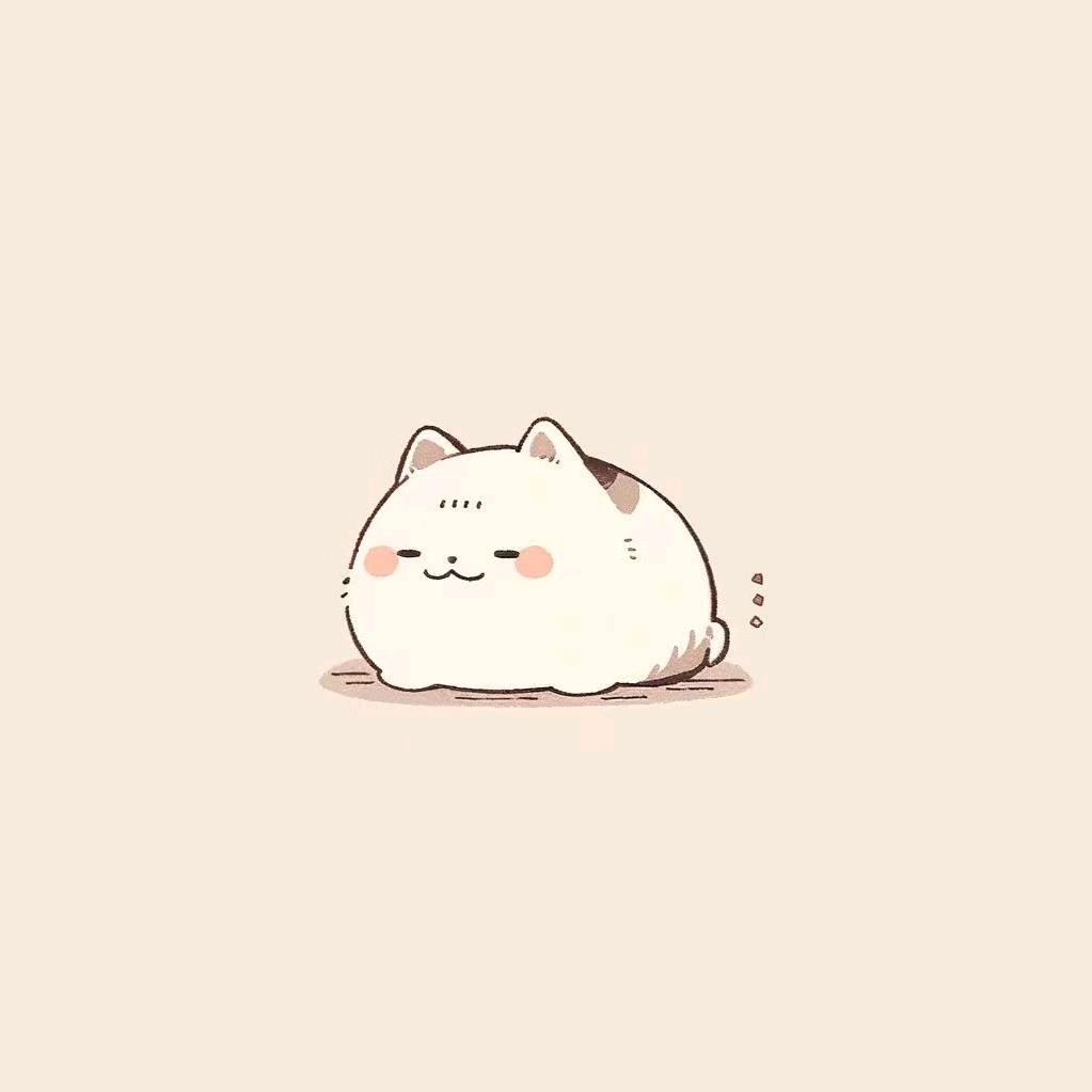 喵喵百宝箱