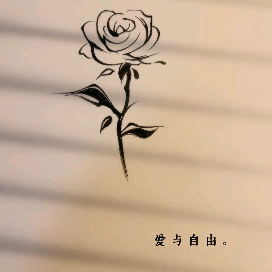 @懒人.