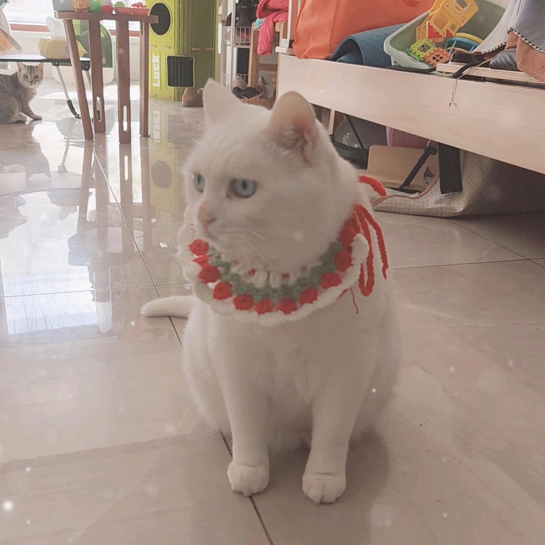 王大白和王二虎