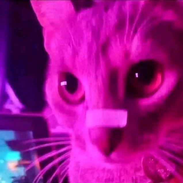 不会取名的废材