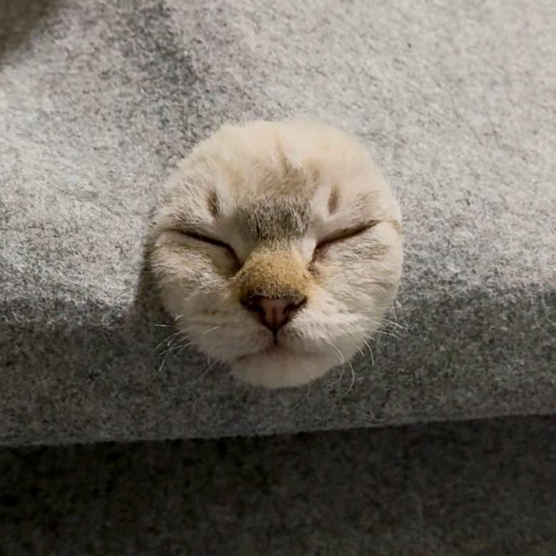 留低把扇记得攞