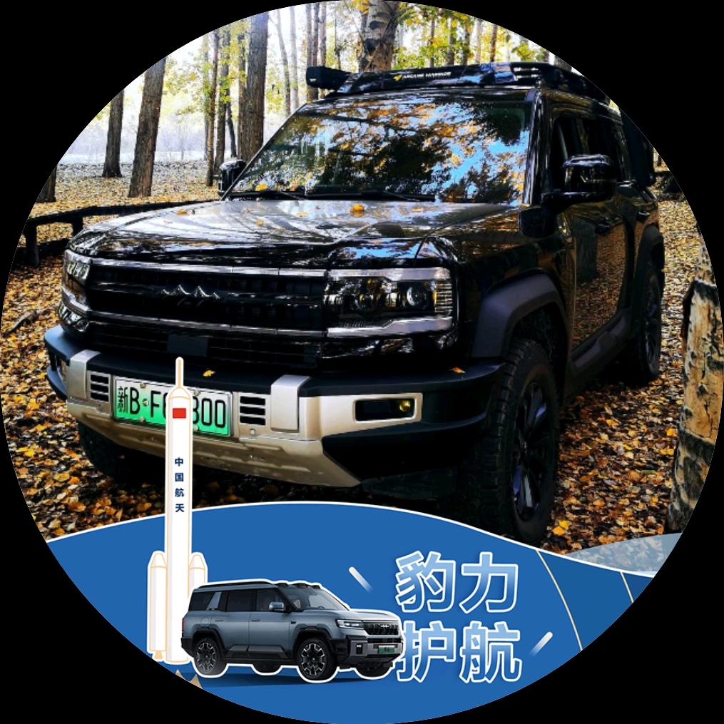 迪迪飞
