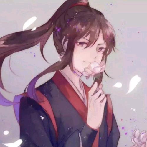 私藏一寸光