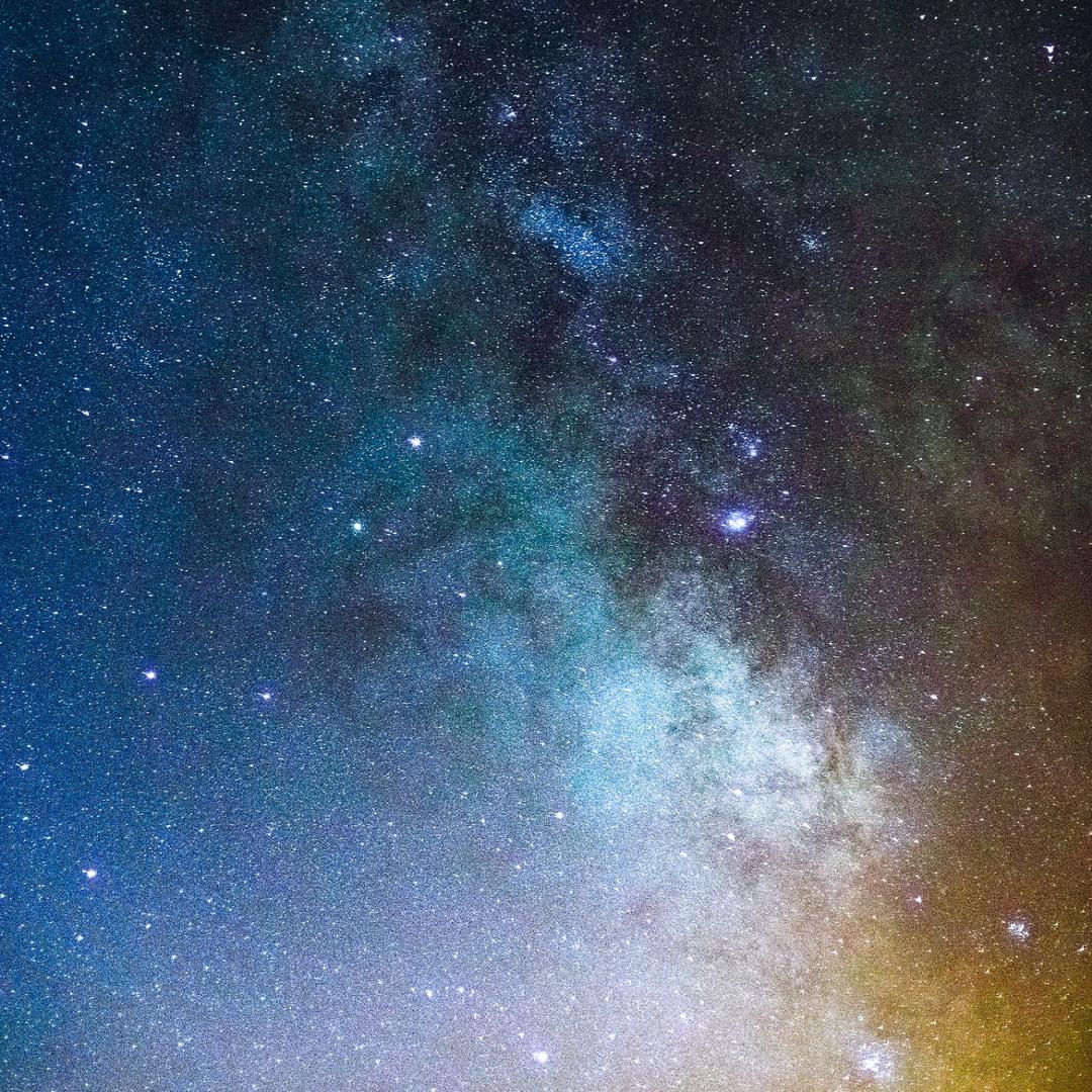 𝕏