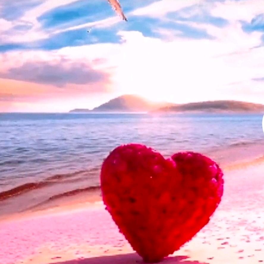 ❤️相见恨晚❤️