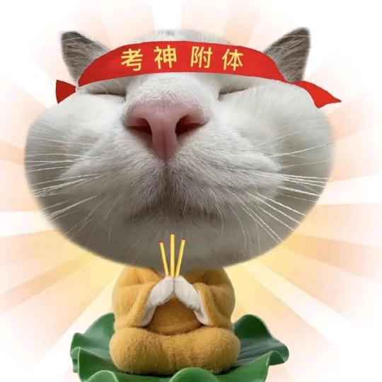 亲爱的麻黄