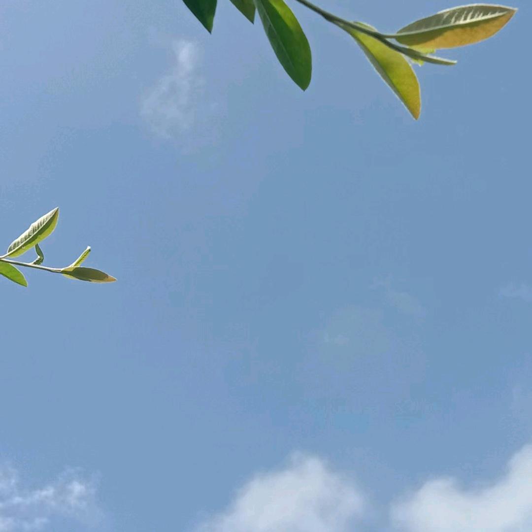 春雨