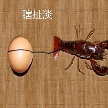 一路走来近看🫎扯蛋