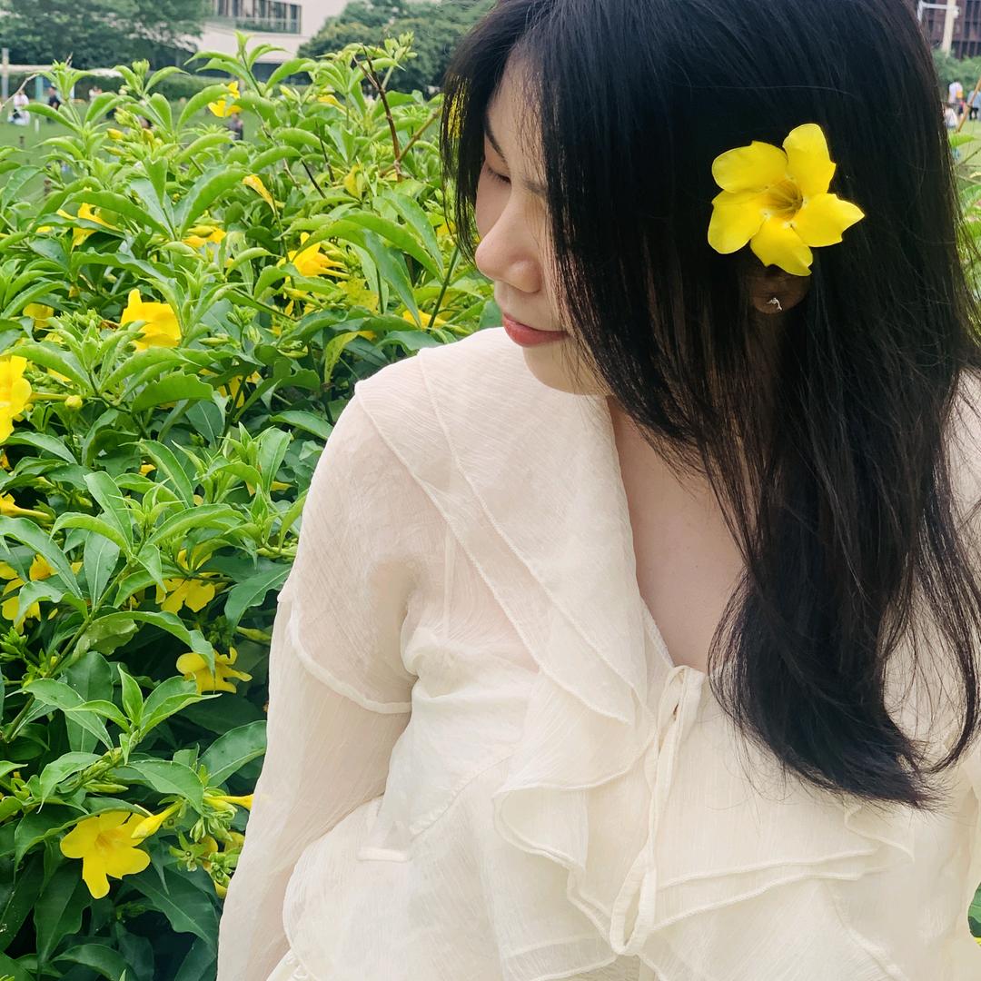 发呆的小绵羊