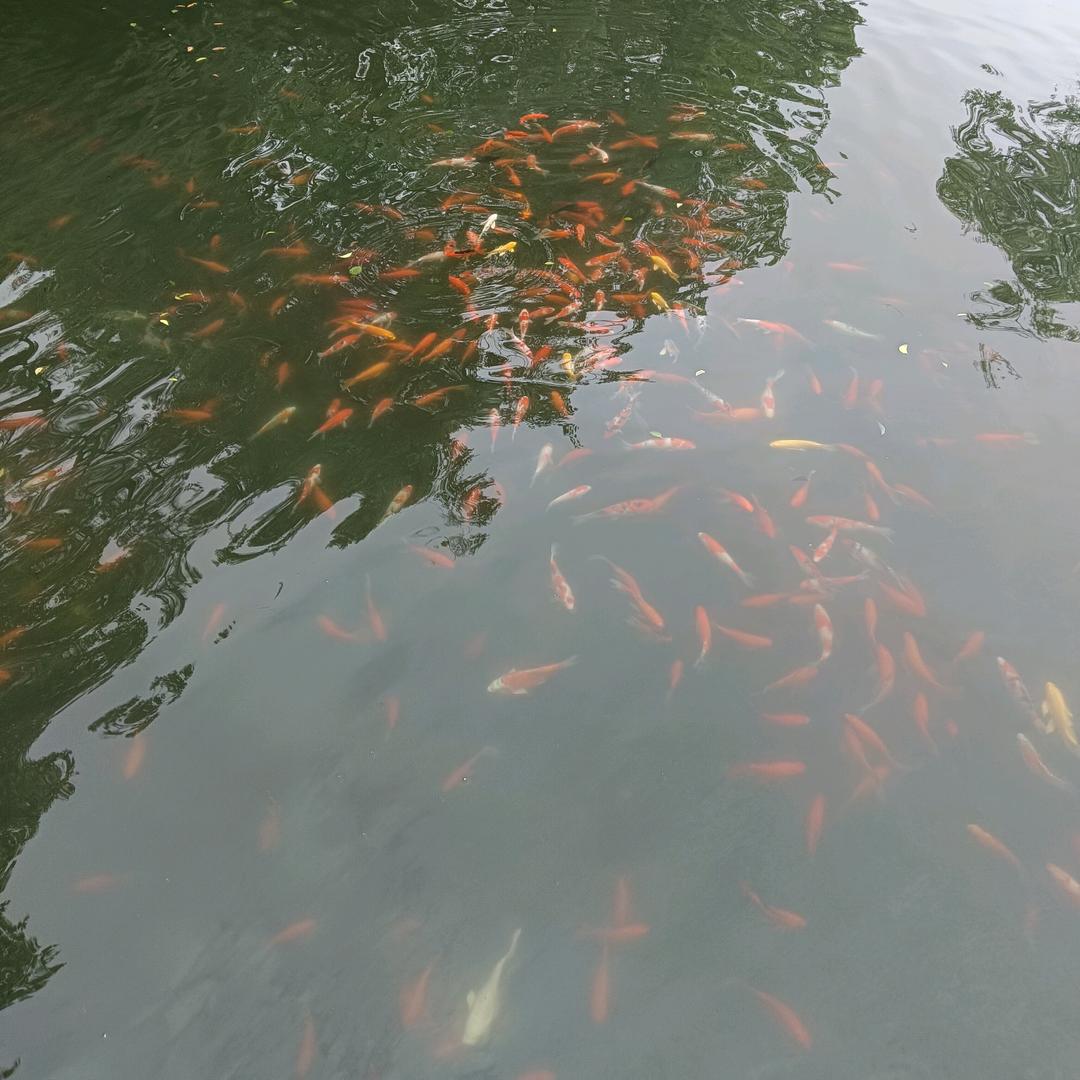 晓丽
