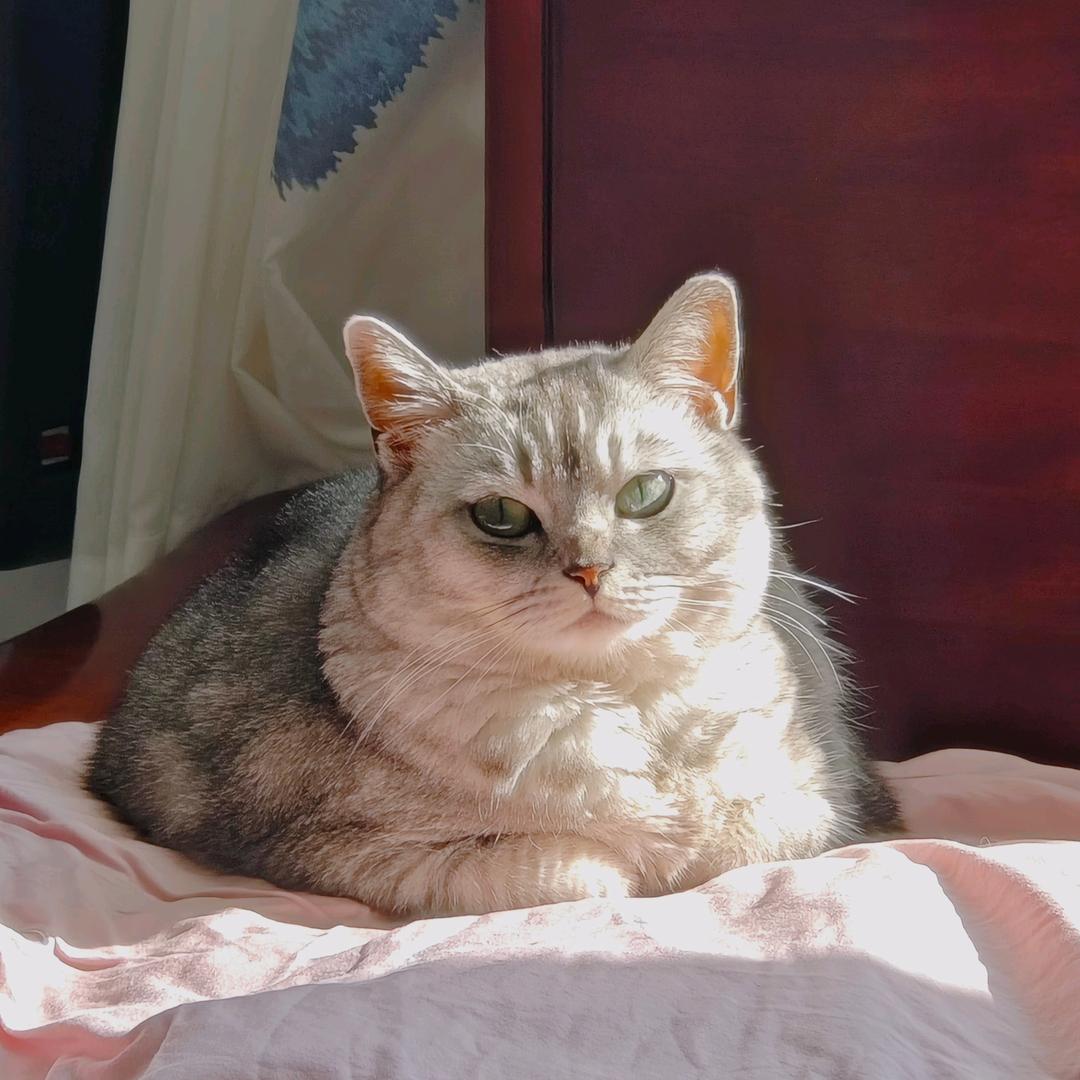 谁偷了我的白桃味沐浴露