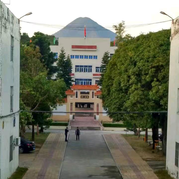 老同