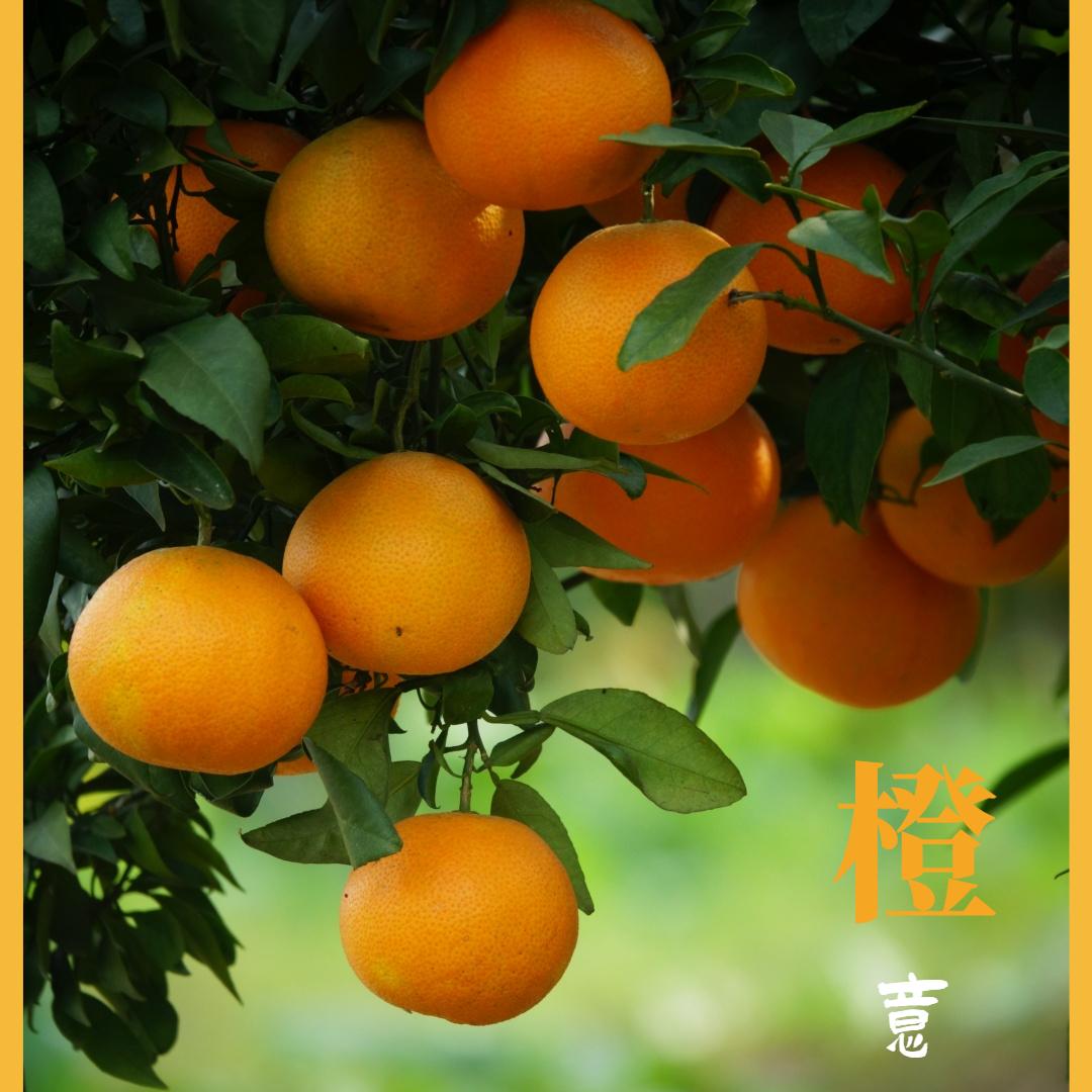牧鲜森鲜果店