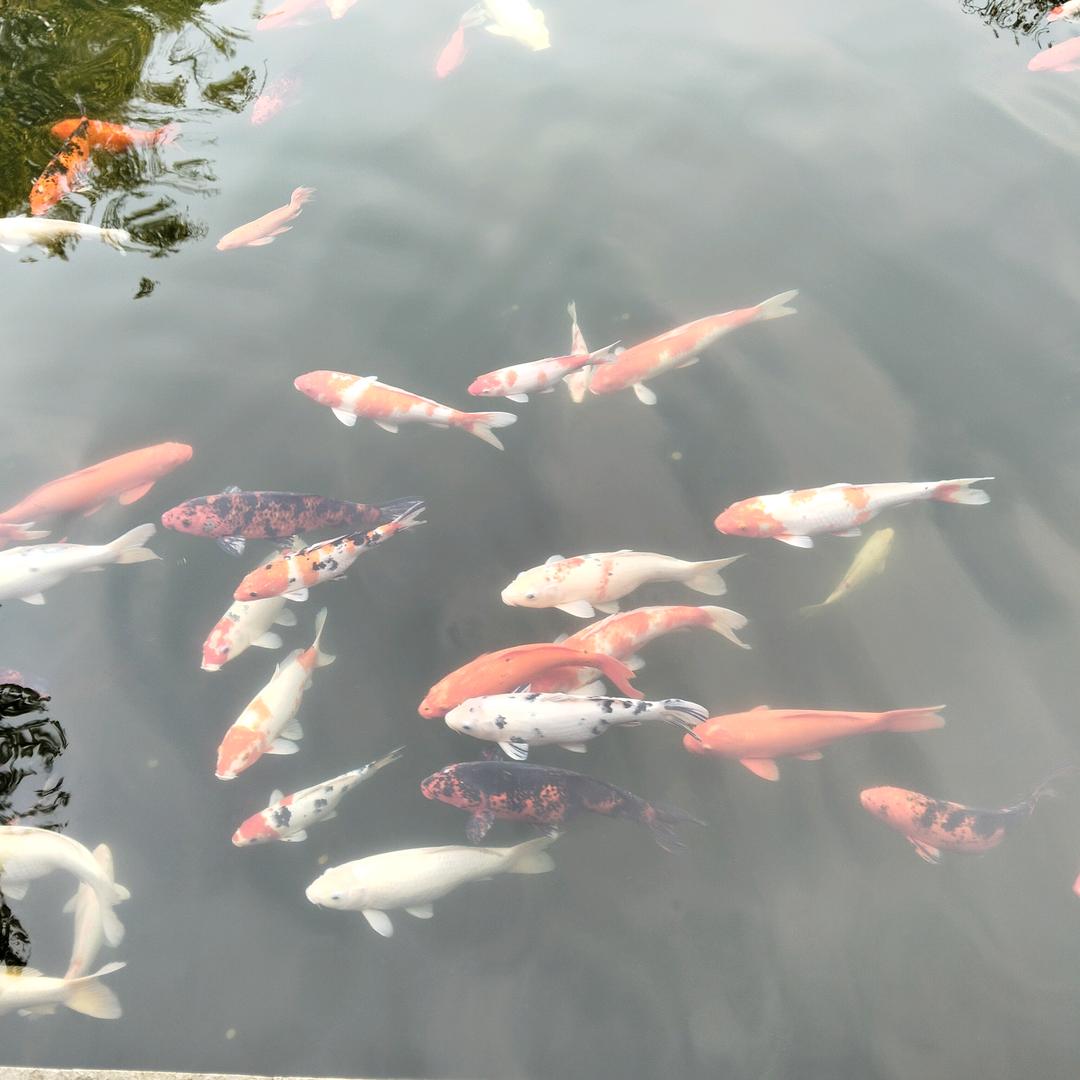 开心的人，不要乱说