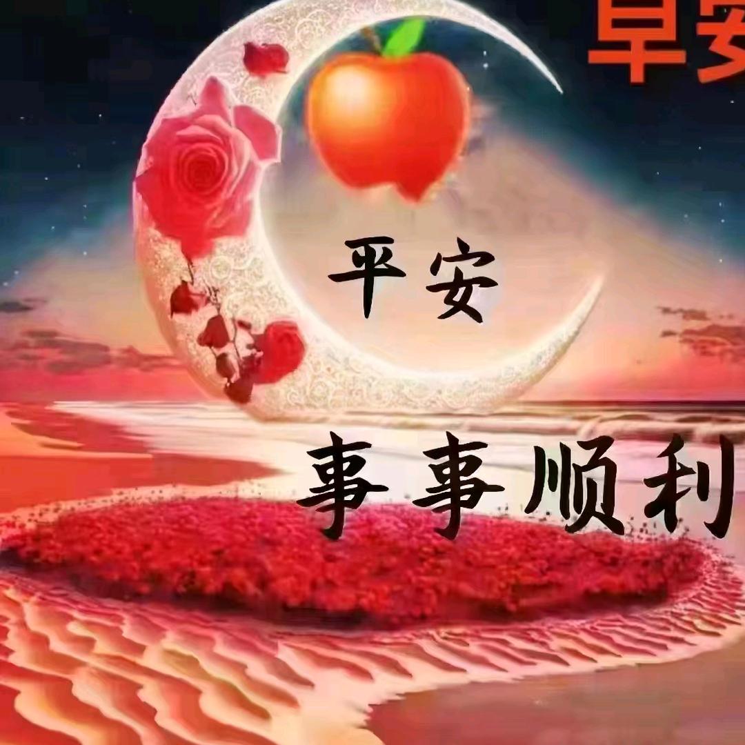 天天