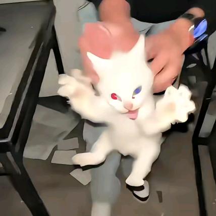烨子