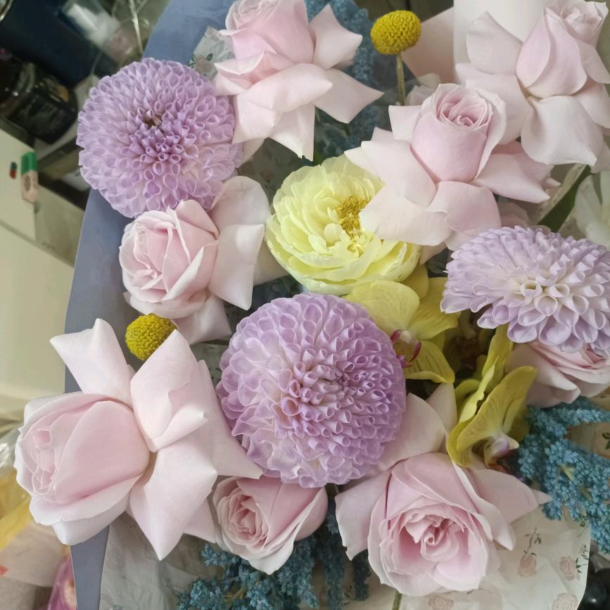 阿阿