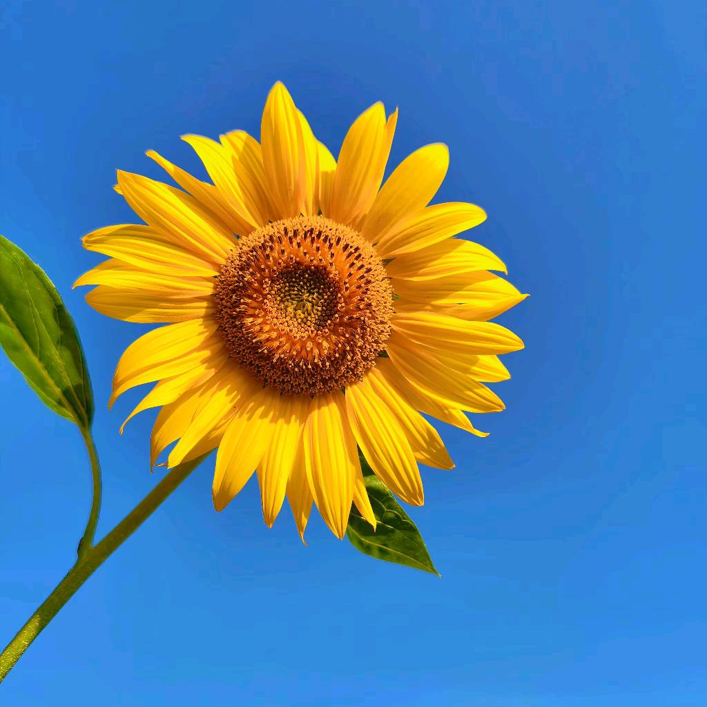 90后宝妈创业记