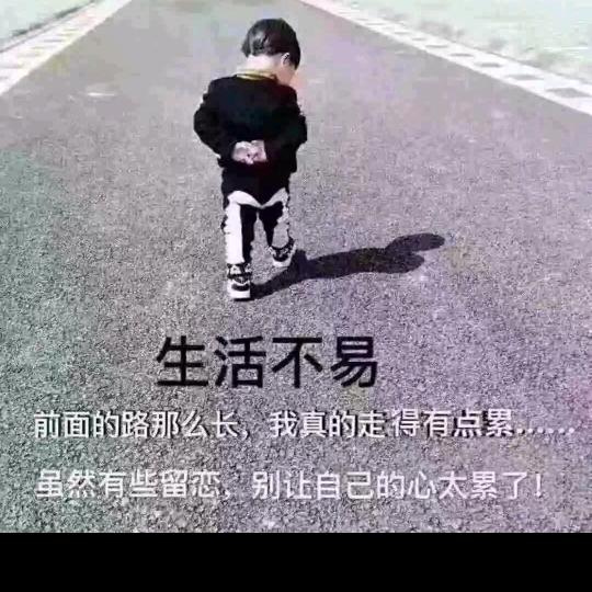 何必怕孤独