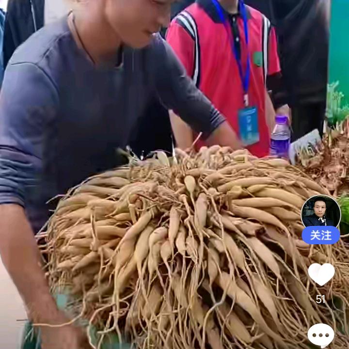 贵州战狼杨哥，走过人生酸甜苦涩