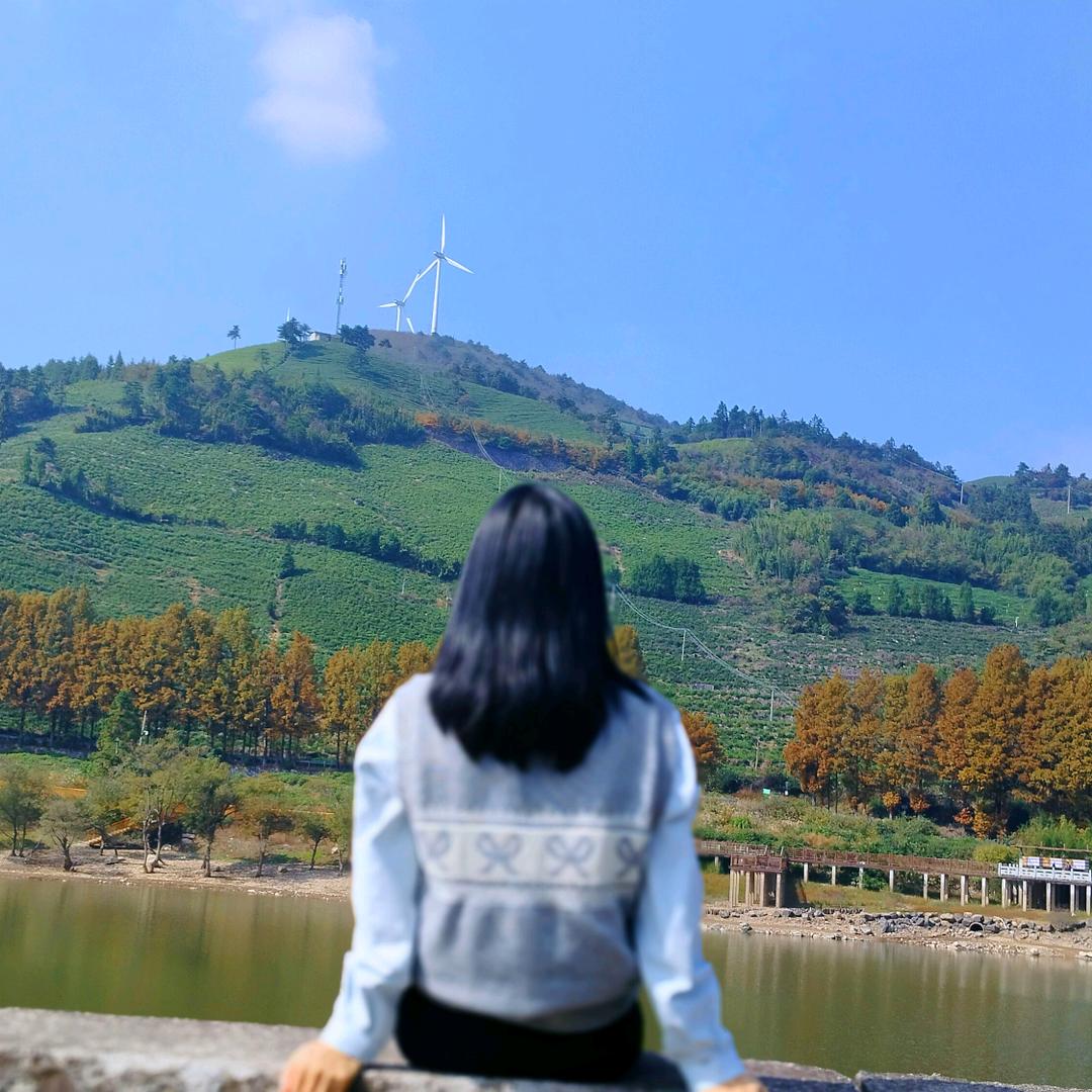 游不动的小金鱼