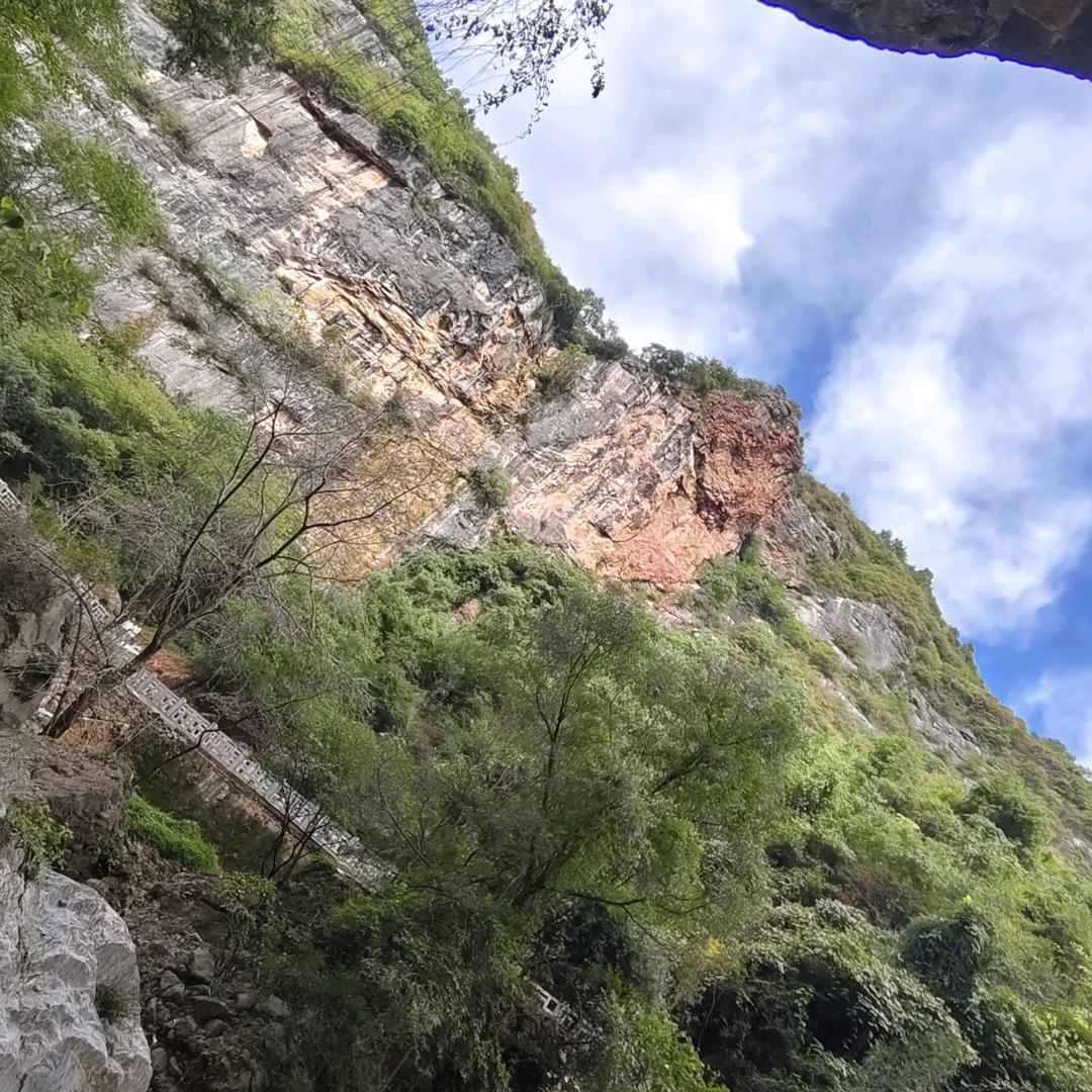 小辫子翼杰二手交易市场