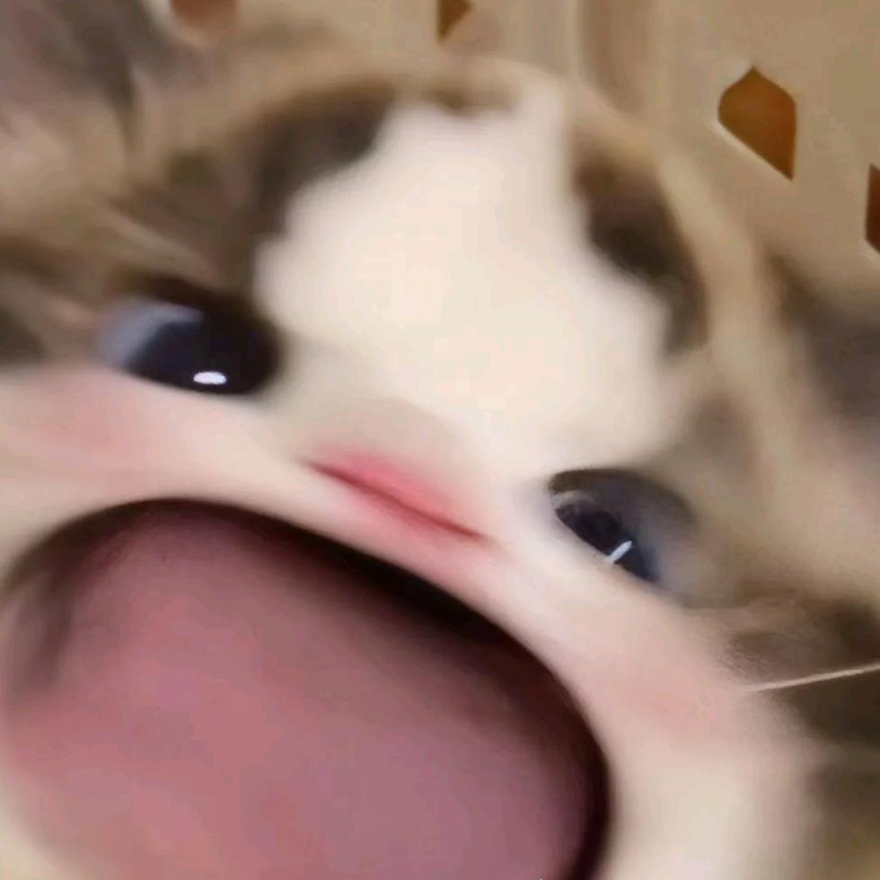 安安...