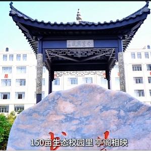 前沿卢老师