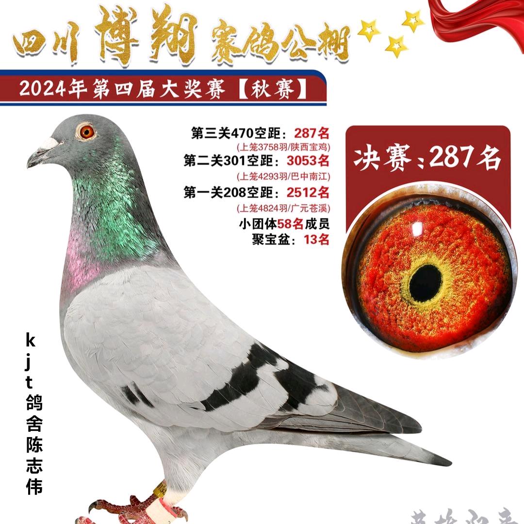 猛禽突击连