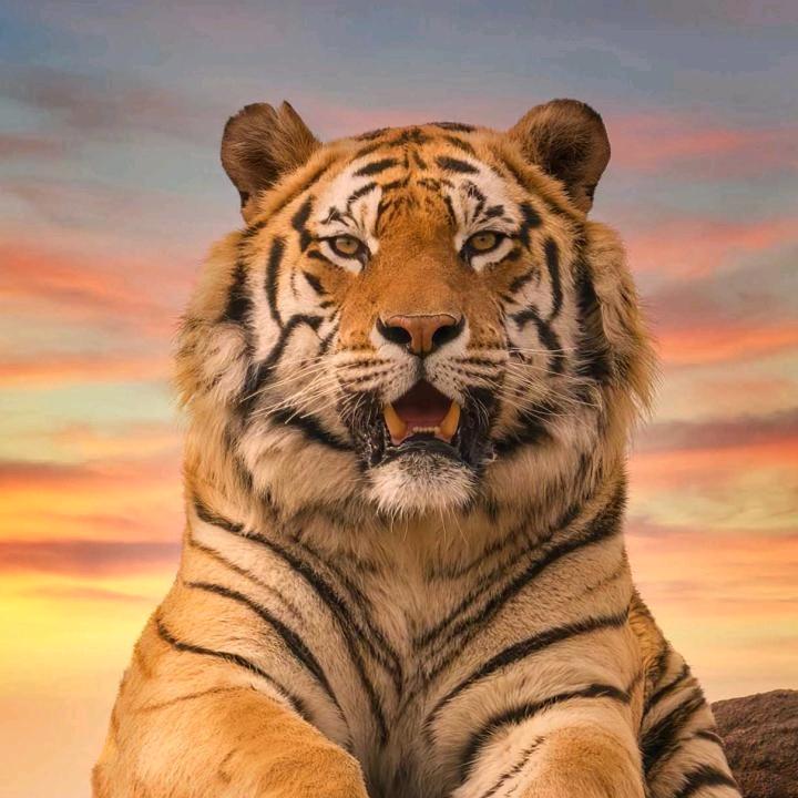 小草！！！！号鼓队