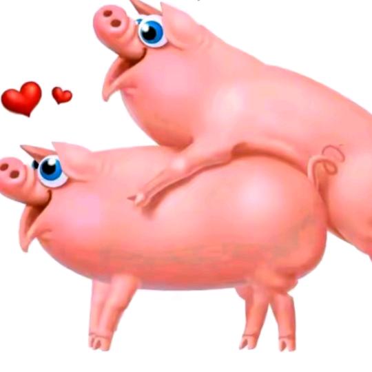 🐖🐖